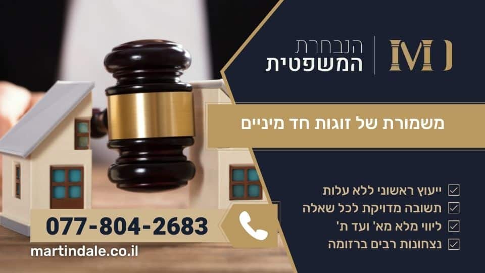 משמורת של זוגות חד מיניים